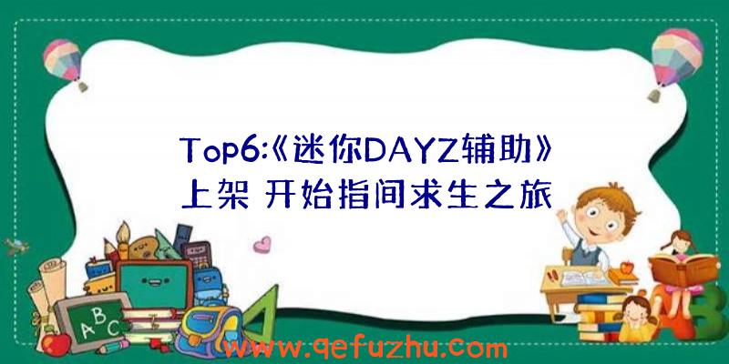 Top6:《迷你DAYZ辅助》上架